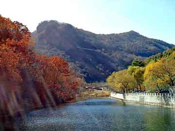 澳门期期准免费精准，新宝来论坛